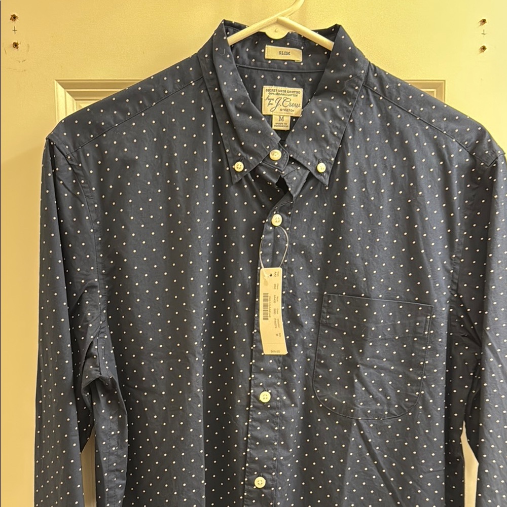 J. Crew Blue Casual Button Down Shirt
